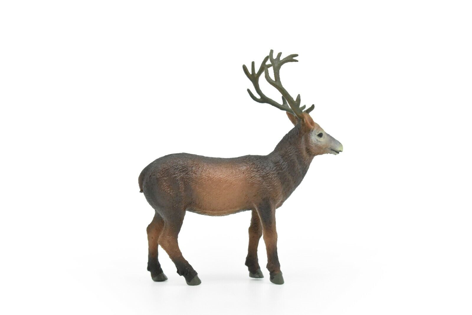 Elk, Wapiti, Museum Quality, Realistic Plastic Animal Design, Educational, Hand Painted, Figure