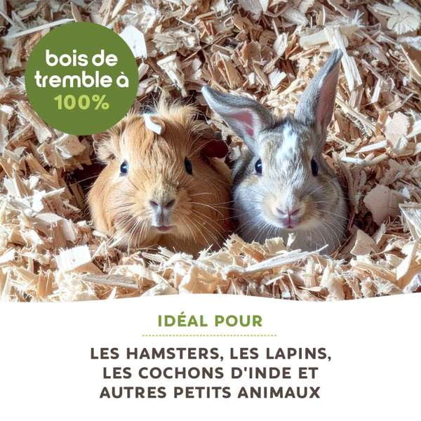 Living World Litière pour Petits Animaux & Litière, Copeaux de Tremble, 20 L
