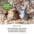 thumbnail image 4 of Living World Small Animal Bedding & Litter, Aspen Shavings, 20 L, 4 of 9