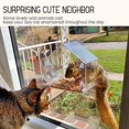 thumbnail image 4 of Window Bird Feeder, Outdoor Bird Feeder for Wild Birds, 4 of 4