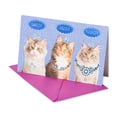 thumbnail image 3 of American Greetings Funny Cats Birthday Card with Glitter, 3 of 4