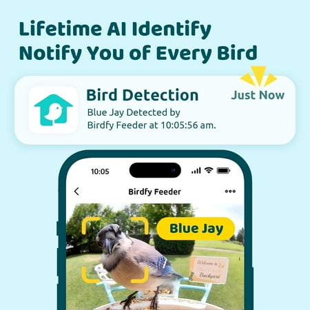 Smart Bird Feeder Camera, Netvue Birdfy Automatic Outdoor Bird Accessories with APP Notification AI Recognition Night Version Waterproof for Yard/House Buddy