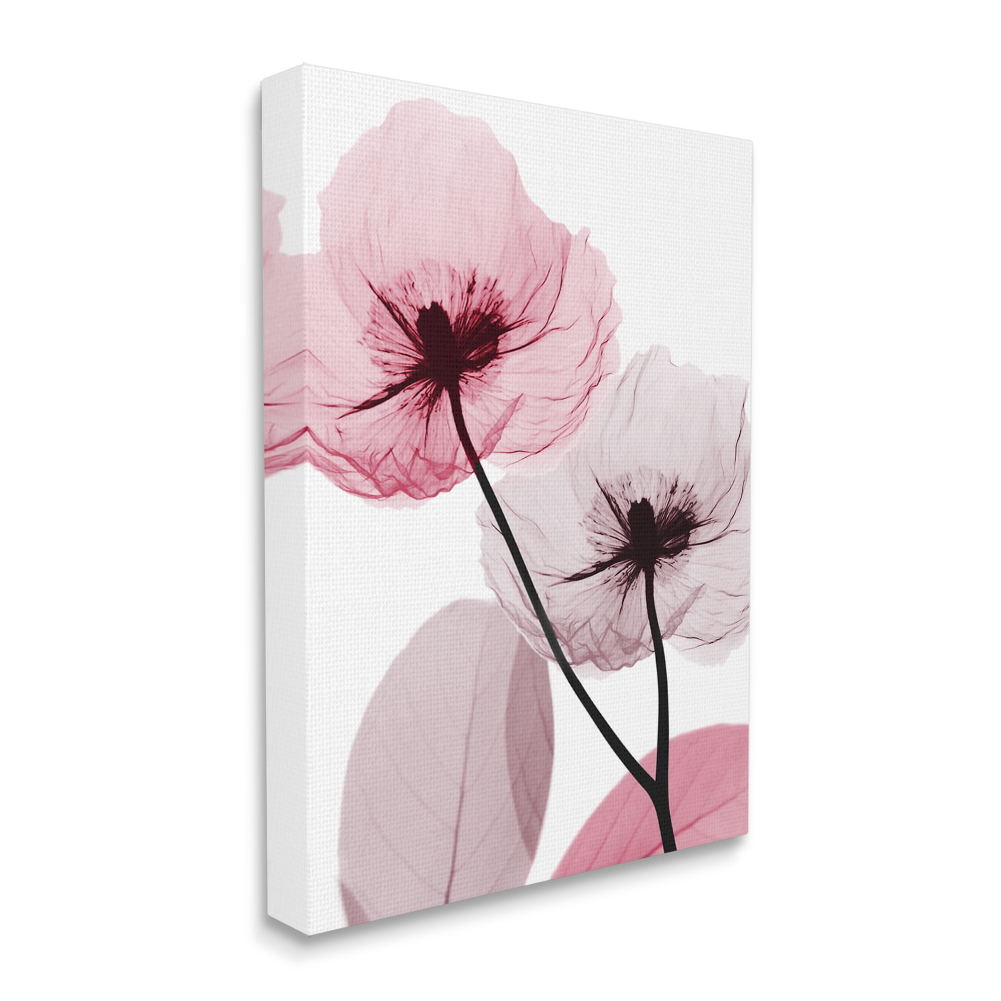 Stupell Industries Pink Poppy Flowers Botanical & Floral Painting Gallery Wrapped Canvas Print Wall Art, 36 x 48