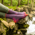 thumbnail image 2 of Darn Tough Women's Hiker Micro Crew Midweight with Cushion Sock, Purple/Plum Heather, Medium, 2 of 5