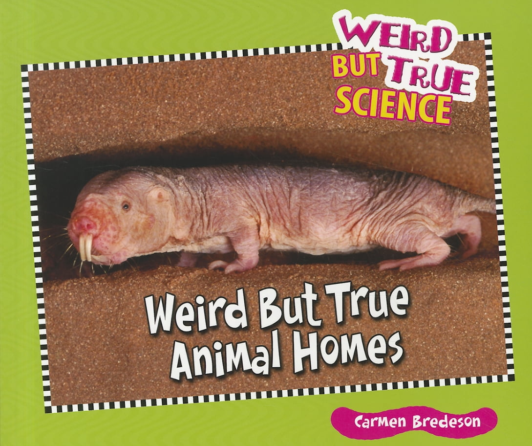 True animals. Unbelievable animals. True animals. True animals. Много зверей.