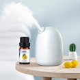 thumbnail image 5 of Momihoom Water-Soluble Aromatherapy Essential Oil Diffuser Aroma humidifier Essential Oil, Diffuser, Aromatherapy Stove, 5 of 8