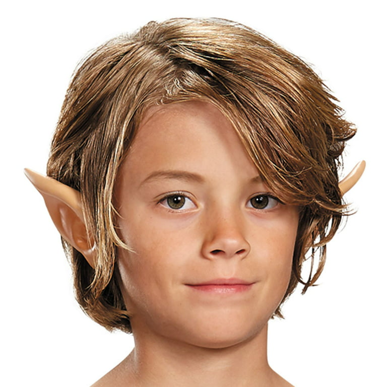 Kids' Nintendo The Legend of Zelda Link Blue Tunic with Ears Halloween  Costume, Assorted Sizes