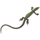 thumbnail image 3 of Figura de lagarto, modelo de lagarto falso, juguete de lagarto de plástico, juguete de simulación de reptil., 3 of 7