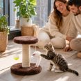 thumbnail image 5 of Small Cat Scratching Post and Small Cat Tree Natural Sisal Tower with Round Perch and Plush Ball Furniture Made for Small Cat, Kitten Relax Tree, 5 of 5