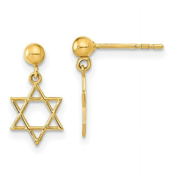 Finest Gold 14K Yellow Gold Polished Star of David Post Dangle Earrings