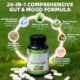 thumbnail image 2 of 24-in-1 Gut & Mood Support Supplement - Slippery Elm Bark, Probiotics & Ashwagandha - 120 Capsules, 2 of 8