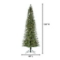 thumbnail image 2 of 10 ft. Pre Lit Clear Incandescent Natural Cut Narrow Jackson Pine, 2 of 4