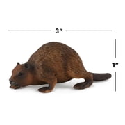مجموعة CollectA Wildlife Collection Miniature Figure Woodlands Beaver