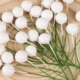 thumbnail image 2 of 50 Uds. De espuma de bricolaje de bayas de estambre artificiales de Navidad para decoración de guirnaldas de Año Nuevo de Navidad, 2 of 7