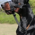 thumbnail image 4 of YIEMEEN Gentle Muzzle Upgraded Quickly Release Dog Muzzle Padded Head Halters Muzzle, 4 of 20