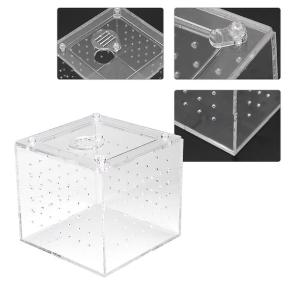DOACT Transparent Reptile Breeding Box, Breeding Box, Snails For Tarantulas Geckos Crickets