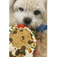 thumbnail image 4 of DEZICAKES Dog Cake- Puppy Christmas Cookie Cake- Bad to the Bone- Perfect Dog Gift Cake Boxed & Decorated, 4 of 9