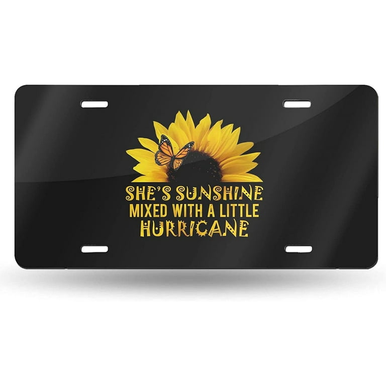 Licence plate covers sale walmart