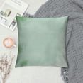 thumbnail image 2 of Creowell  Mint Throw Pillow Cushion Cover, Blurry Abstract Background Shady Pastel Toned Modern Watercolor Murky Image, Decorative Square Accent Pillow Case, 2 of 5