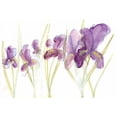 thumbnail image 3 of Adkin, Arielle 24x17 Black Modern Framed Museum Art Print Titled - Spring Garden IV, 3 of 5