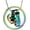 rainbow, variant on Memorial jewelry Forever In My Heart,No Longer By My Side Pet Cremation Jewelry For Ashes Of Dog/Cat Funeral Keepsake Urn Necklace Paw Print Memorial Necklace