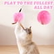 thumbnail image 4 of Popular! Relieves Boredom Since High Teasing Cat Stick Cat Toys Collar Collar Teasing Cat Artifacts Bite-resistant Feather Wire Teasing Cat Stick, 4 of 4