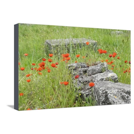 South of France, St. Remy, Glanum, Fortified Roman Town in Provence Stretched Canvas Print Wall Art By Emily