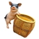 thumbnail image 4 of Cerdito de resina para decoración, maceta para flores, decoración de jardín, encanto único, balcón, terraza, maceta de cerdo, estatua de jardín, cerdo de cara negra, 4 of 9