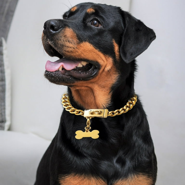 Rottweiler gold chain discount