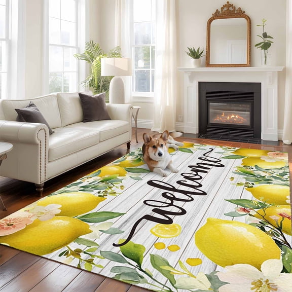 5'x8' Area Rugs, Lemon Farmhouse Indoor Outdoor Area Rug for Living Room Bedroom, Summer Fruit Botanical Grey Wooden Washable Bathroom Rugs Kitchen Floor Carpet Mats Home Decor Aesthetic
