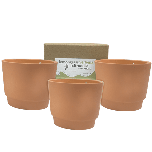 Lemongrass   Verbena Citronella Soy Candle 10oz 3 Pack, Best Bee Brothers