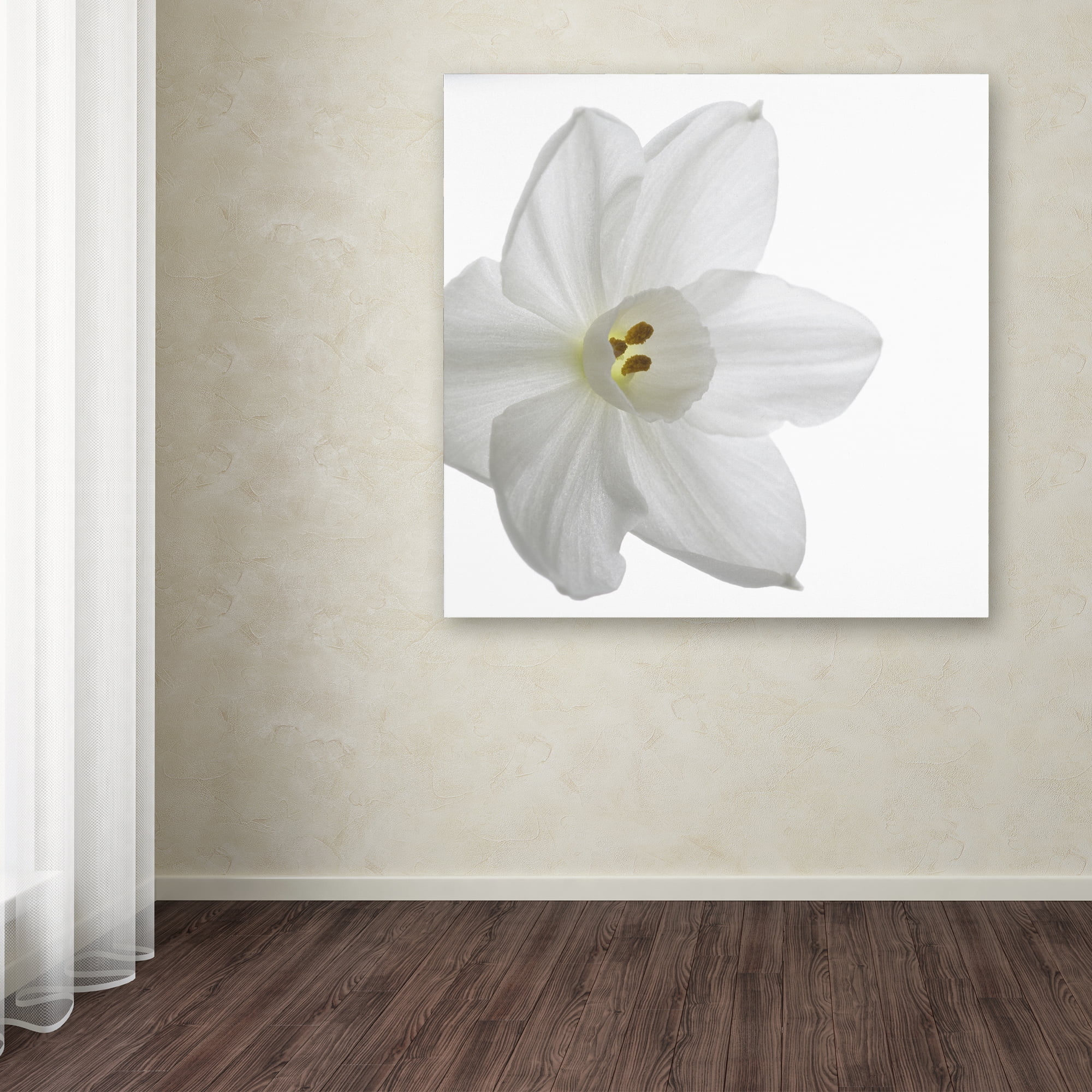 Trademark Fine Art "Paper White" Canvas Art by Kurt Shaffer