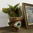 thumbnail image 4 of One-Eye Pot de Plante Créatif Cyclopes Pot de Fleurs en Résine avec Trou de Drainage Statue Décorative Intérieur Extérieur, 4 of 13