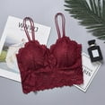 thumbnail image 2 of Wuffmeow Women Lingerie Corset Lace Floral Bralette Padded Bra Camis Underwear Wire Free Sheer Lace Bra Crop Tops Brassiere, 2 of 2