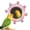 Pink, variant on Bird Mirror Toys for Cage Parakeet Rotating Sound Wheel Toy,Budgie Training Colorful Interactive Chew Toys for Canaries Lovebirds Conures Cockatiels.