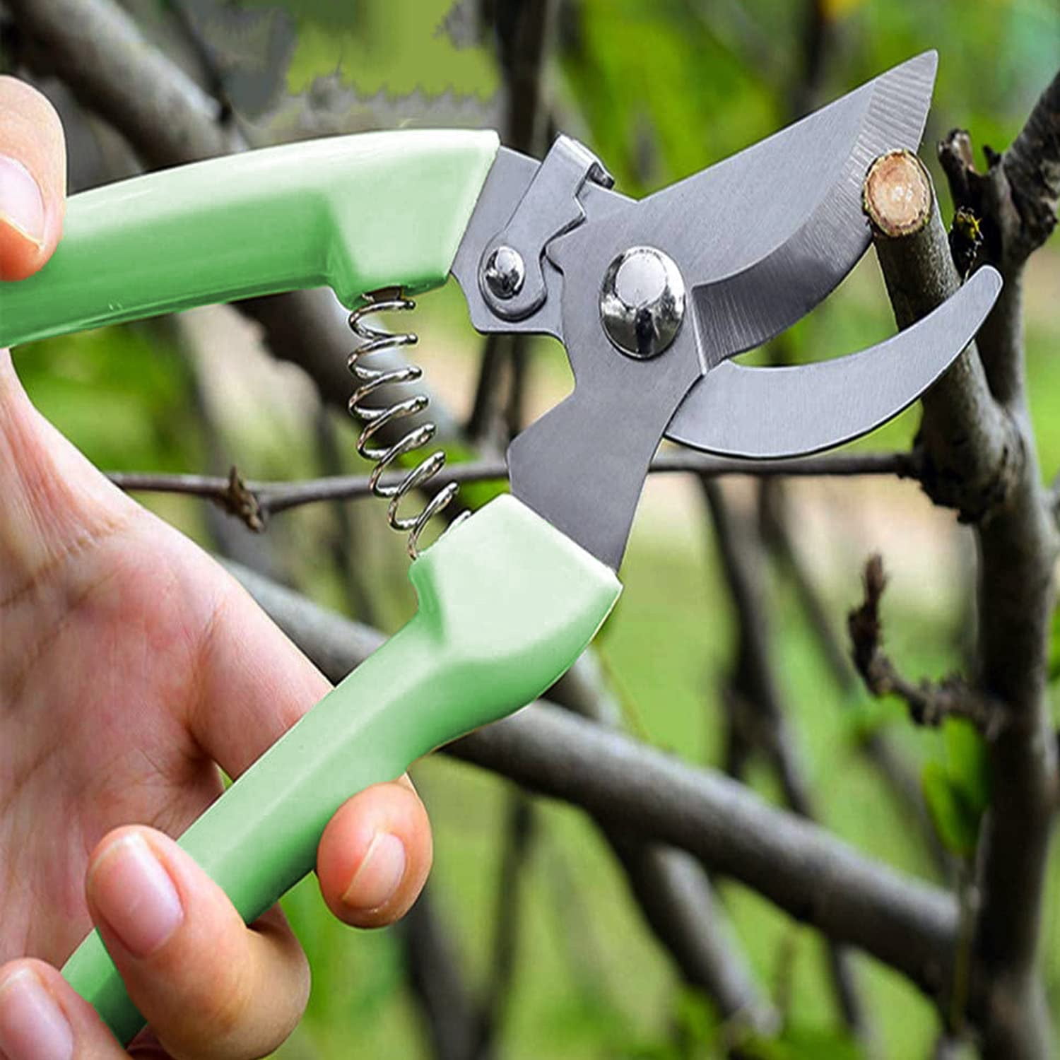 Genreen Gardening Scissor 2PCS Sharp Stainless Steel Blade Garden Shears Cutting Flowers Trimming Plants Yard Florist Flower Rose Herb Hedge Bonsai Fruits Picking