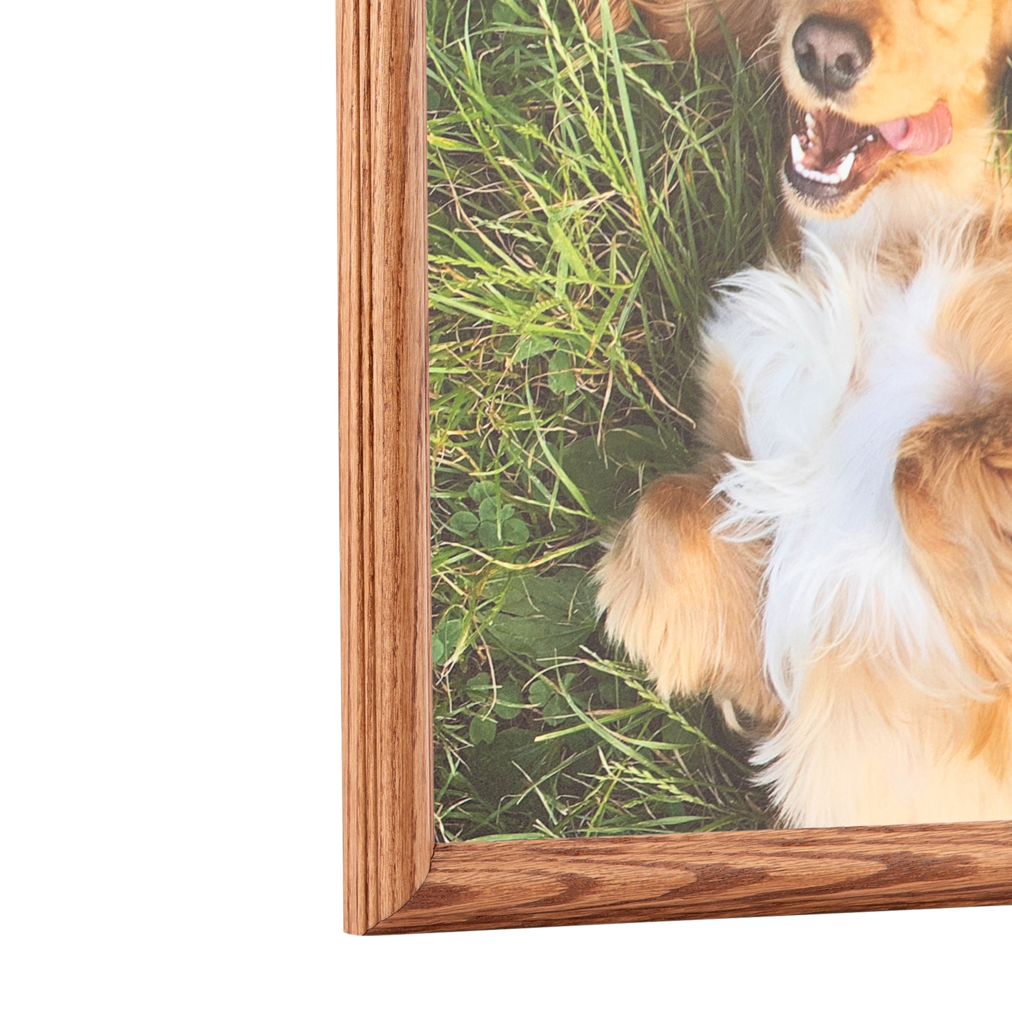 ArtToFrames 18" x 24" Honey Oak Picture Frame, 18x24 inch Brown Wood Poster Frame (WOM-4380), 2 Pack