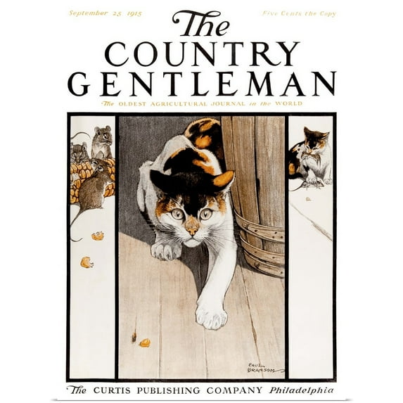 Great BIG Canvas | Rolled Poster Print entitled A cat sneaks up on mice