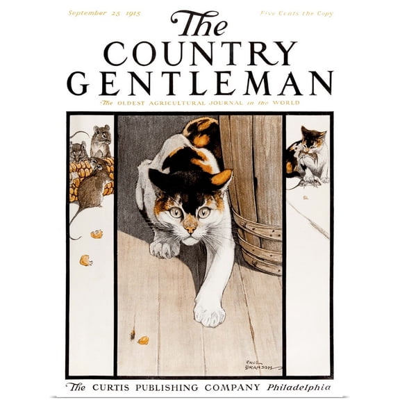 Great BIG Canvas | Rolled Poster Print entitled A cat sneaks up on mice