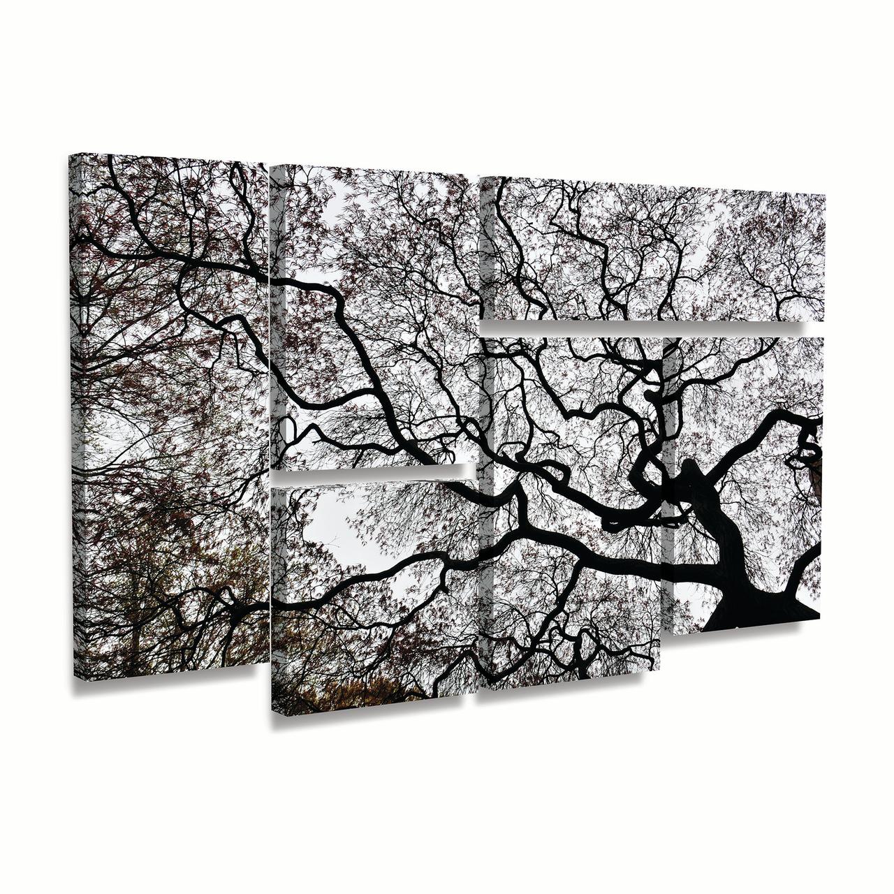 Trademark Fine Art 'Japanese Maple Spring Abstract II' Canvas Art by Kurt Shaffer