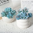 thumbnail image 5 of Artificial Blue Succulent Plants, Blue Flocked Plant Succulent Decorative Faux Succulents for Home Office Desk, Floating Shelves, Window, Bookshelf and Bathroom, 5 of 6
