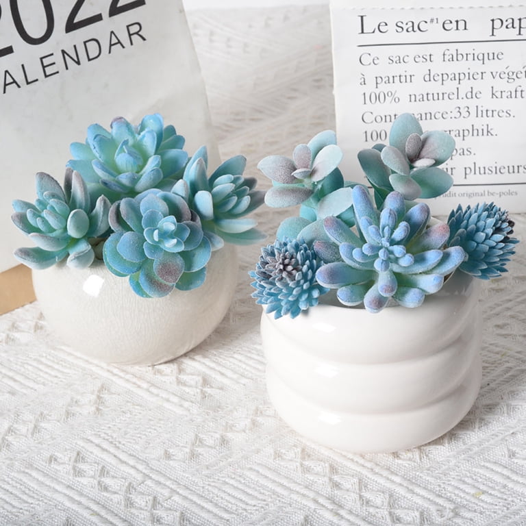 Blue Artificial Succulent Plants - 1 Pack - Premium Fake Plants - Realistic  Textured Cactus - Premium Crafting DIY Greenery Decor for Indoor & OutdoorFlocked   - Walmart.com