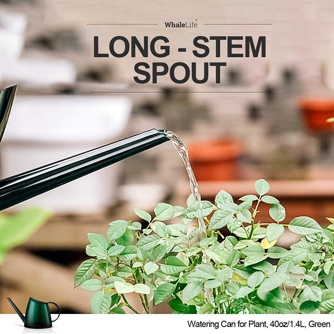Small Indoor Watering Can for House Plants - Stylish Green Plastic Watering Pitcher with Long Spout for Potted Plants, Succulents, and Desk Gardens 1.4L