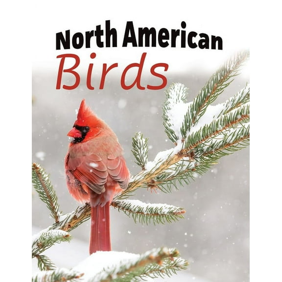 For Adults with Dementia and Other Life North American Birds, Book 1, (Paperback)