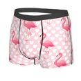 thumbnail image 2 of Haiem Cute Flamingo with Heart Men's Boxer Briefs, Every Day Comfort Stretch Cotton Moisture-Wicking Underwear-X-Large, 2 of 9