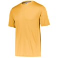 thumbnail image 1 of Adulte Dri-Power T-Shirt de Performance de Base & 44; Or - 2XL, 1 of 1