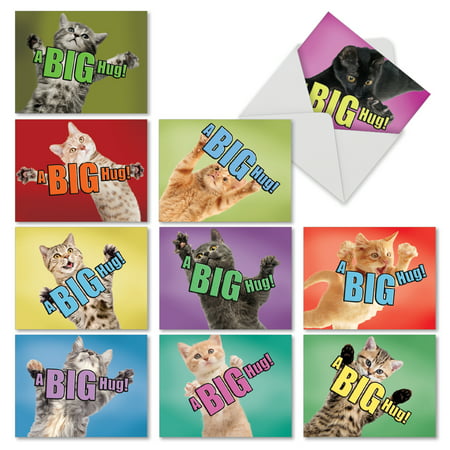 'M6614OCB CAT A BIG HUG' 10 Assorted All Occasions Note Cards Featuring Cats Holding Their Arms Wide to Show You How Much They Want To Hug You, with Envelopes by The Best Card