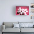 thumbnail image 3 of Pierre Leclerc Photography 'Cherry Pink' Canvas Art, 3 of 4