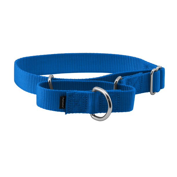 PetSafe Martingale Dog Collar, Medium, 1 in, Royal