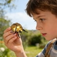 thumbnail image 7 of SPOORYYO Realistic Interactive Insect Toy Collection for Educational Play Indoor Outdoor Use, 7 of 7